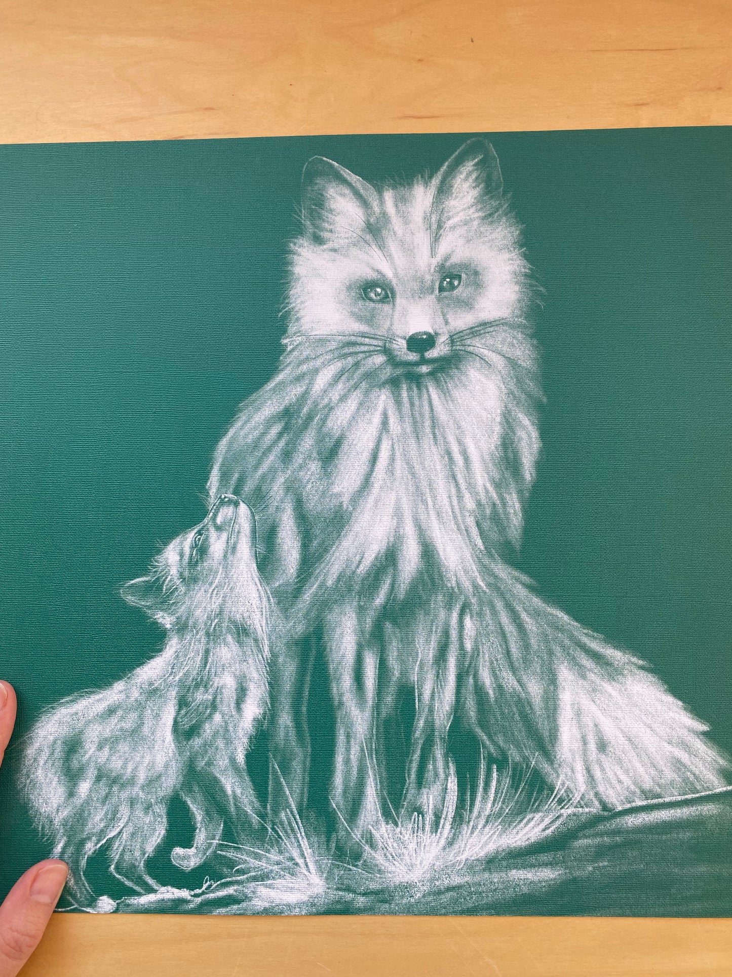 Animals