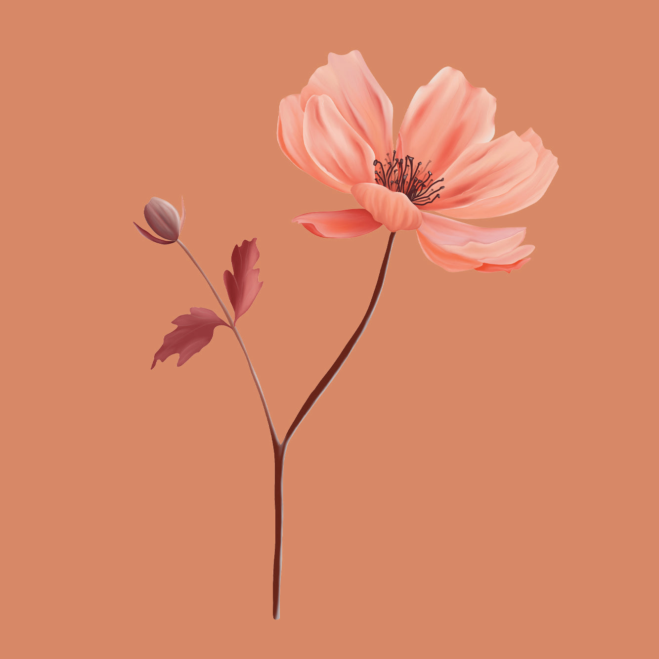 Dolores Pastel Orange