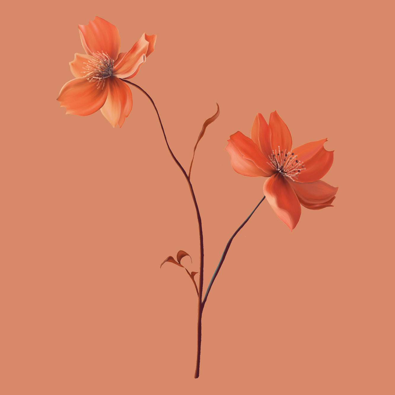 Dolores Pastel Orange