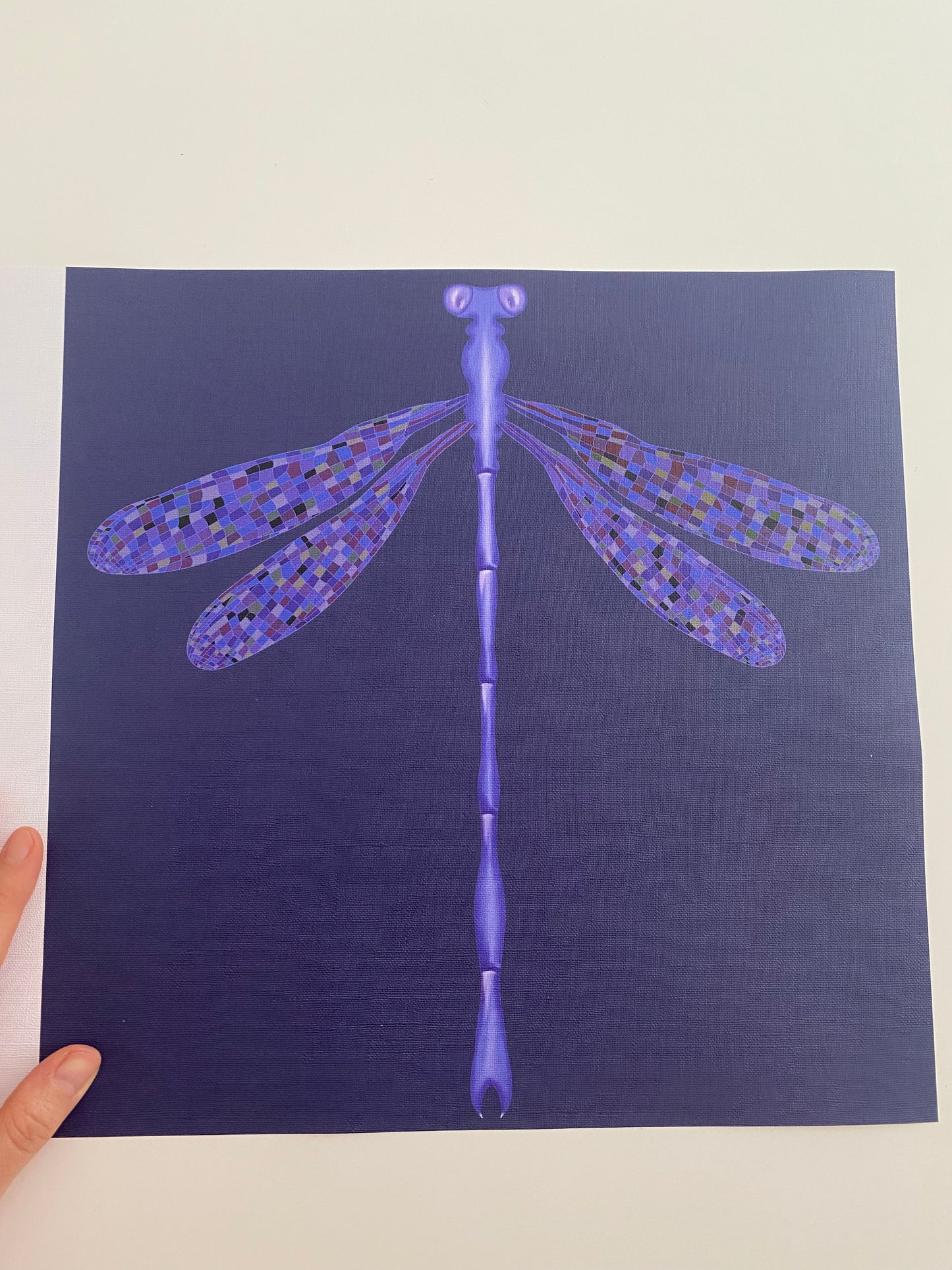 Dragonfly Blue-Purple