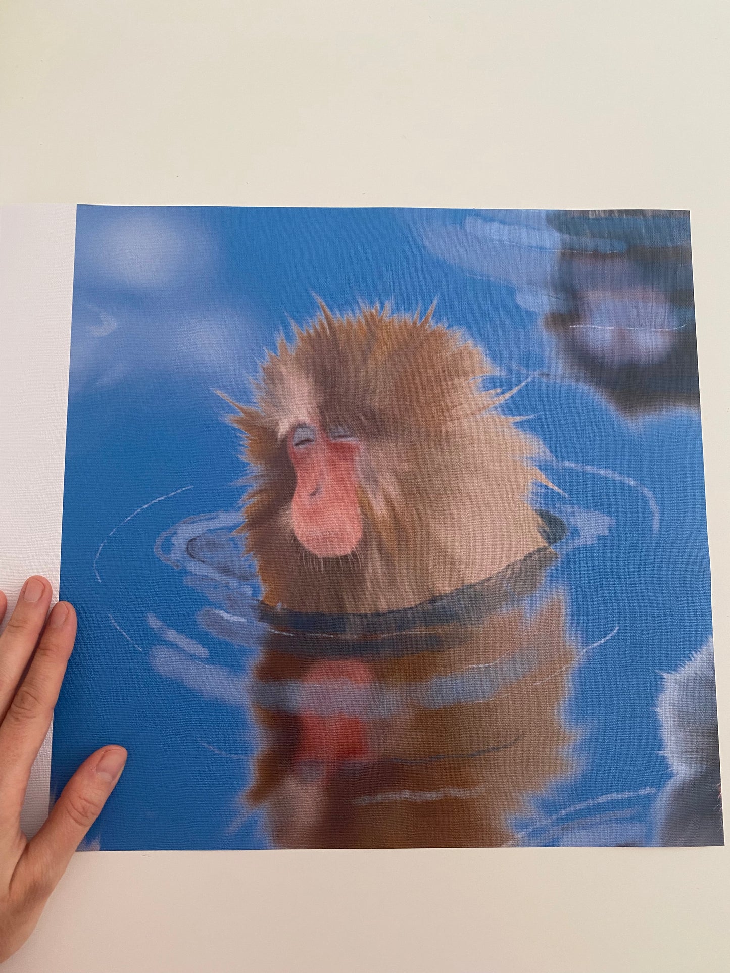 Japanese macaques
