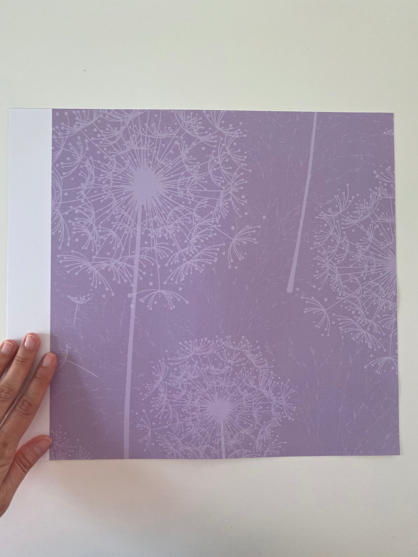Dandelions Lilac